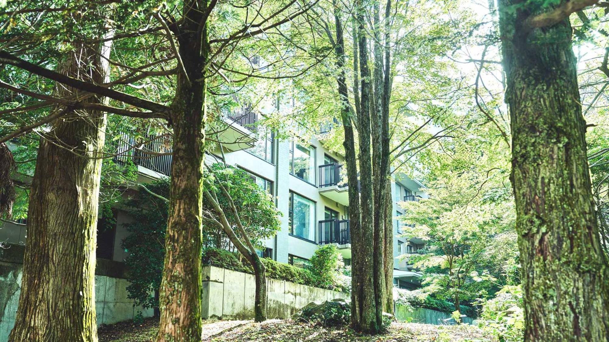 Tokyu Vacations Hakone Gora Ξενοδοχείο Εξωτερικό φωτογραφία